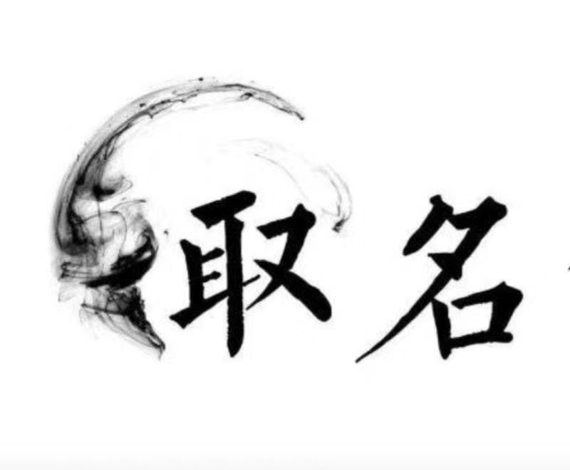  鹤岗宝宝取名 大师一对一人工起名